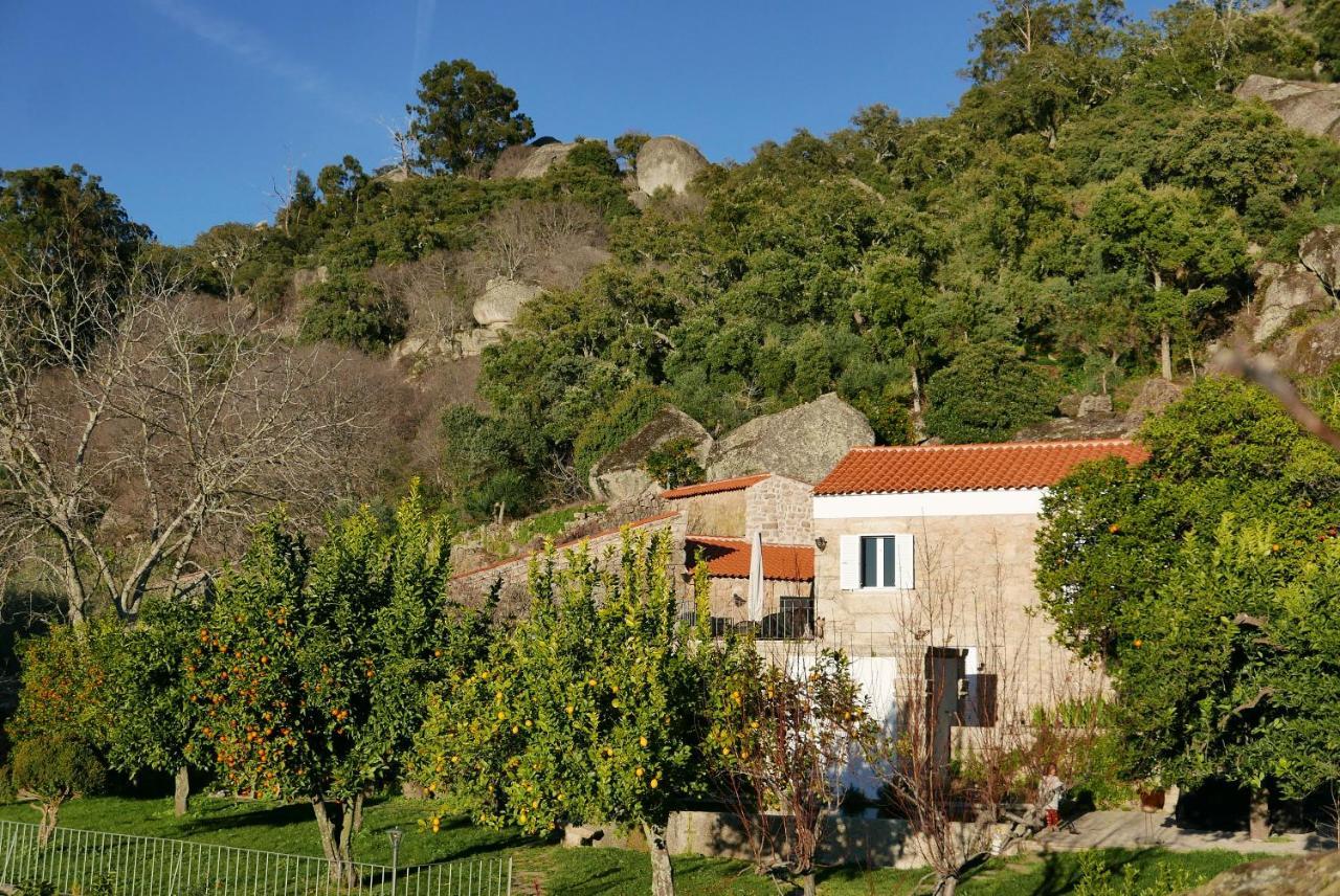 Casa Do Meio Em Quinta De Sao Pedro De Vir-A-Corca Monsanto Exterior foto