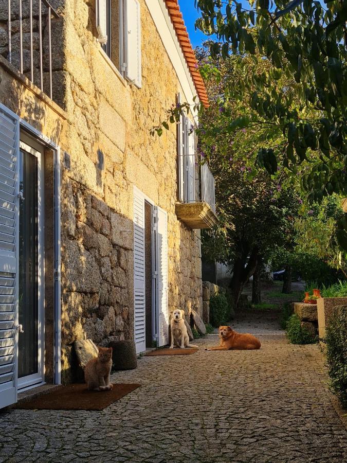 Casa Do Meio Em Quinta De Sao Pedro De Vir-A-Corca Monsanto Exterior foto